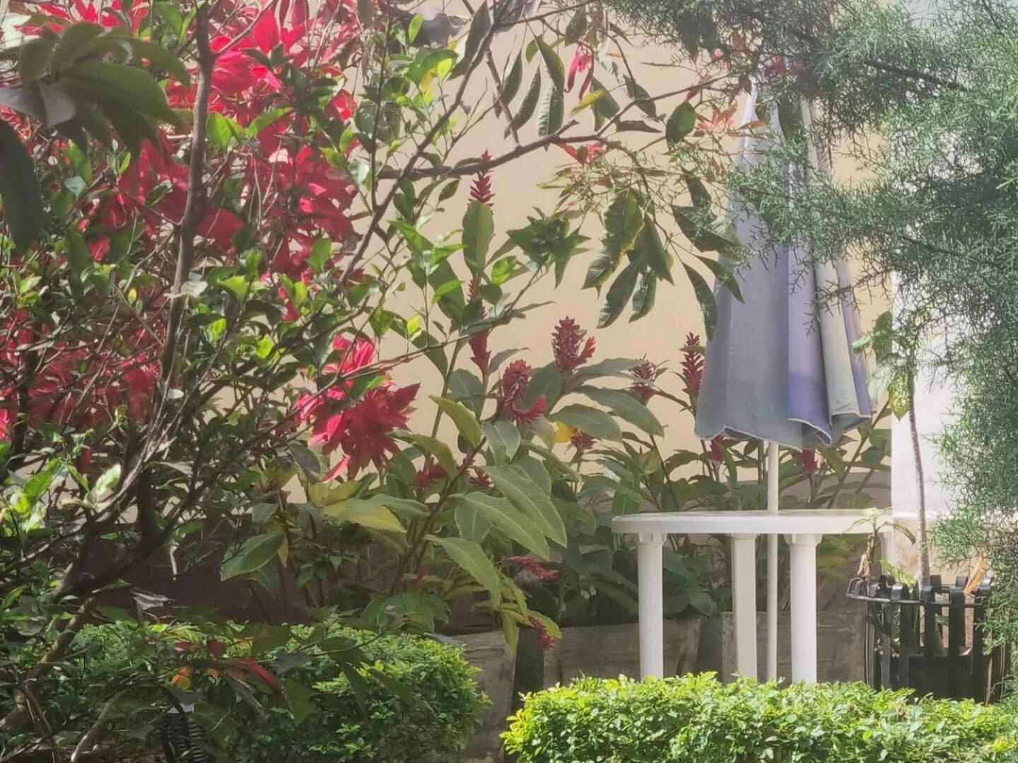 Tout Confort Avec Jardin Entree Bastos Yaounde Ngoại thất bức ảnh