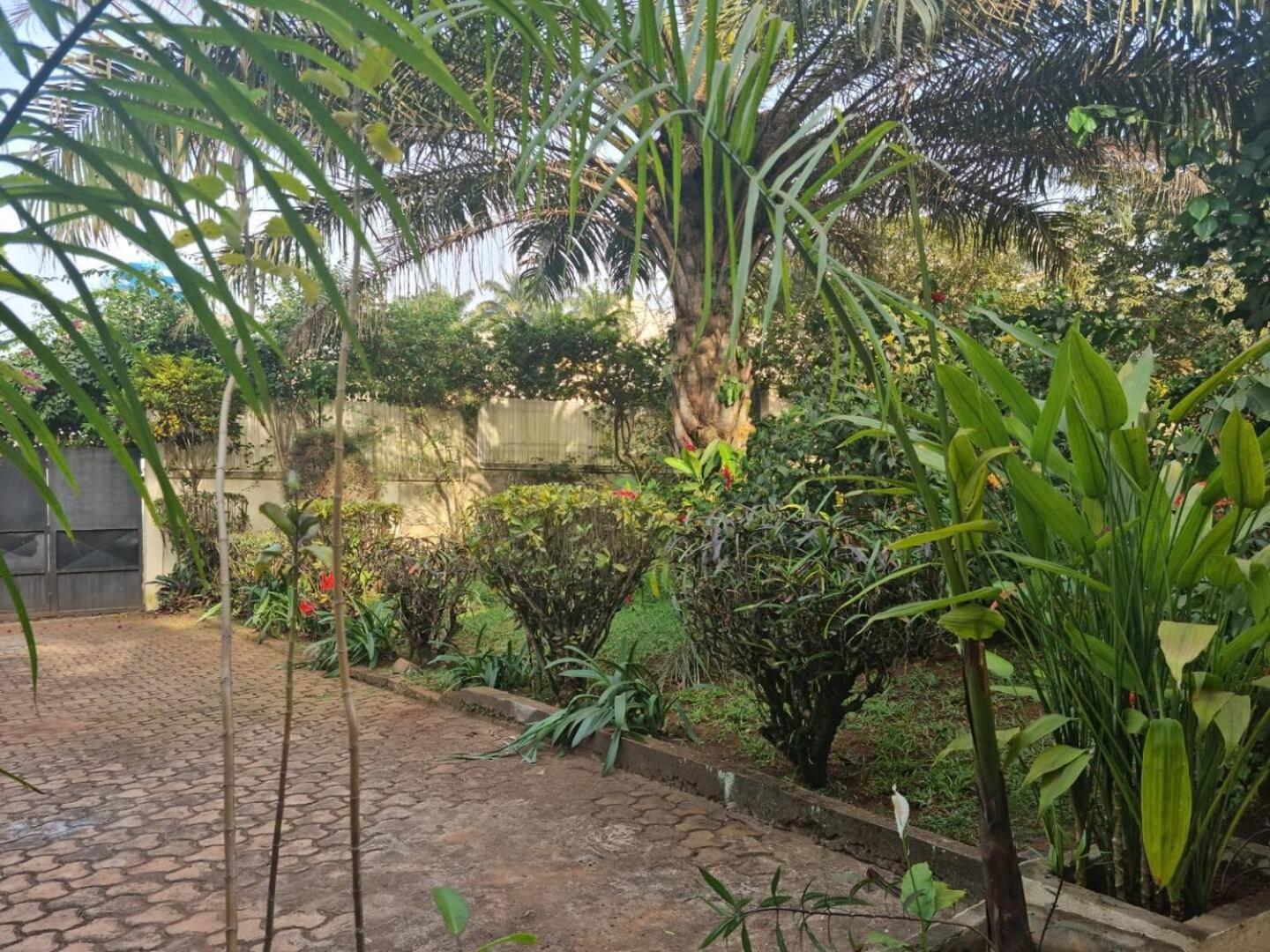 Tout Confort Avec Jardin Entree Bastos Yaounde Ngoại thất bức ảnh