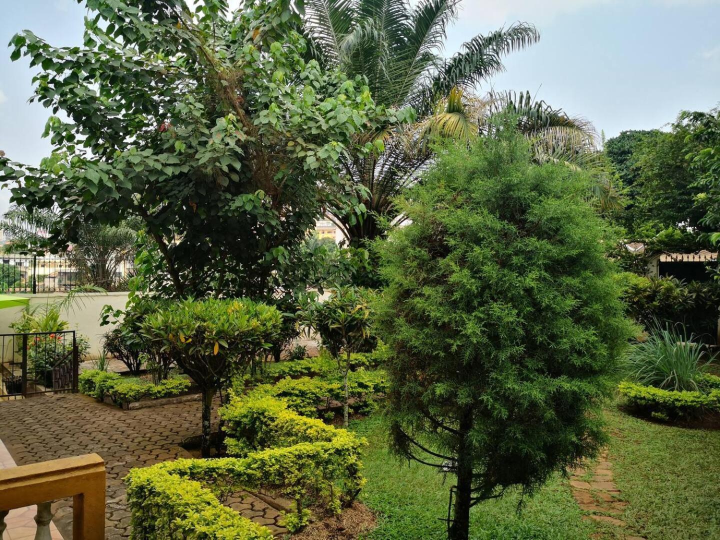Tout Confort Avec Jardin Entree Bastos Yaounde Ngoại thất bức ảnh